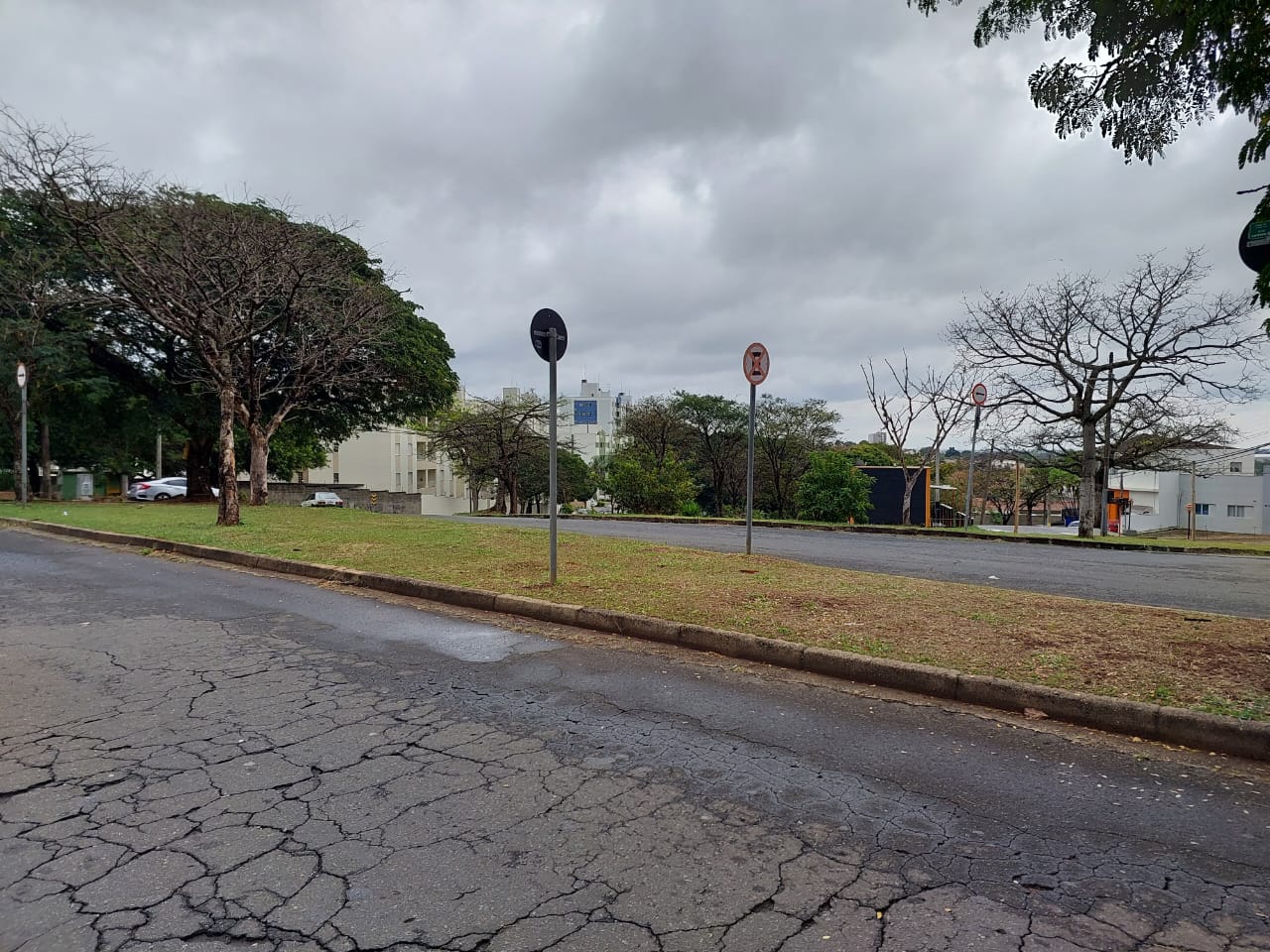 Com a chuva, volta a preocupação com incidência de dengue em Campinas