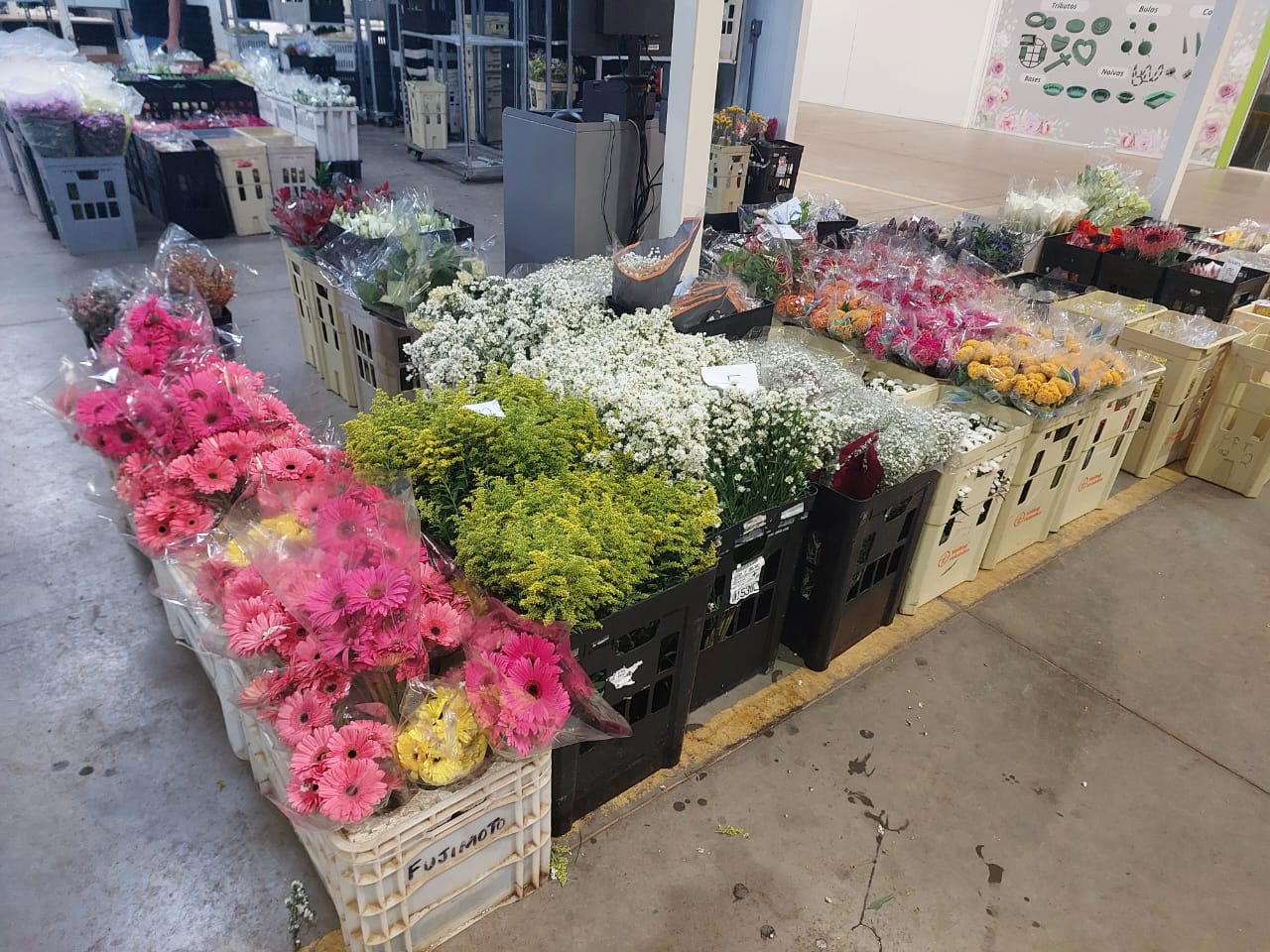 Mercado de Flores da Ceasa vai abrir neste feriado das 8h às 13h