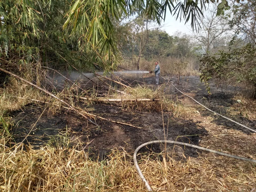 Meio Ambiente de Piracicaba alerta para número de focos de incêndio este ano