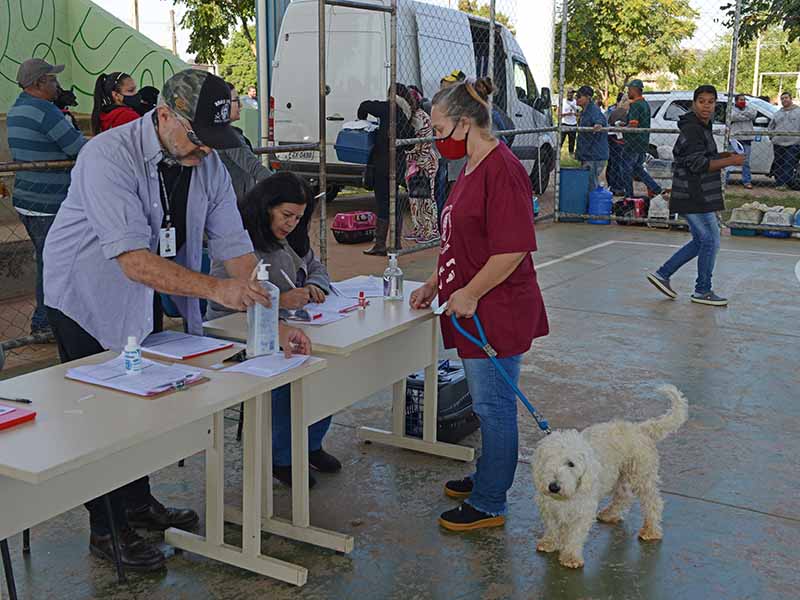 Castramóvel tem 600 vagas para Sousas e Joaquim Egídio