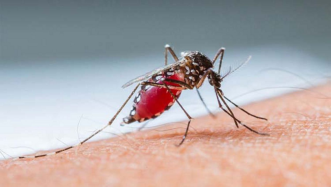 Piracicaba confirma primeira morte por dengue este ano