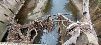Entulho bloqueia fluxo de água do córrego do Piçarrão, na Vila Industrial