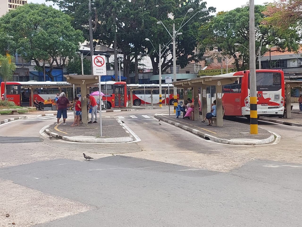 Recomeçam eleições do Sindicato dos Rodoviários de Campinas e Região