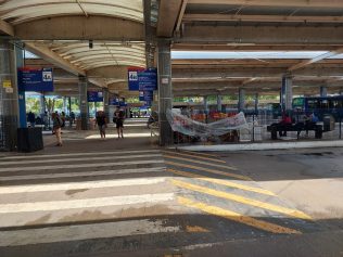 Transporte gratuito tem linhas com longa espera, mas poucas lotadas