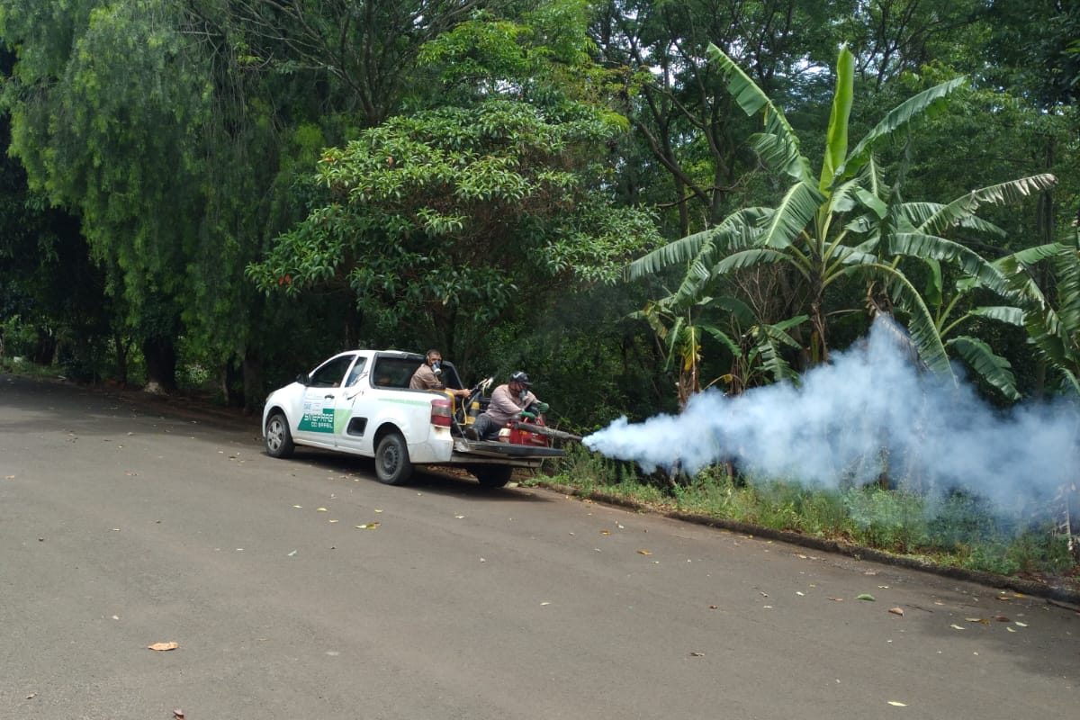 Americana faz campanha de nebulização para afastar pernilongos