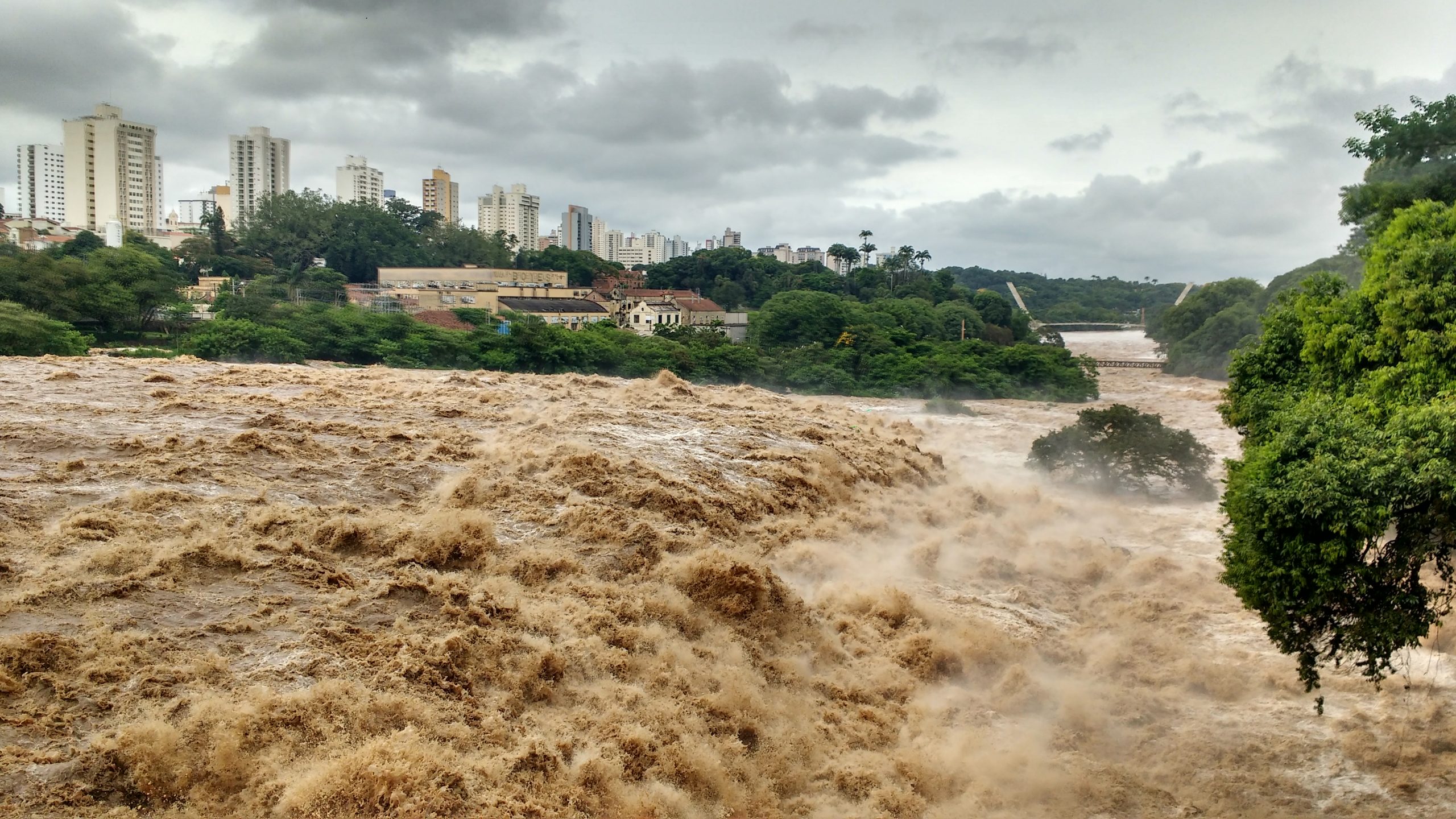 Piracicaba confirma segunda morte por febre maculosa em 2023