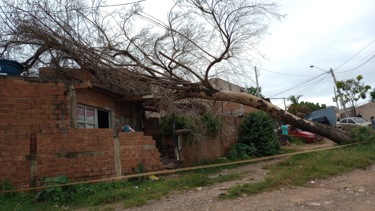 Casa atingida por árvore neste sábado é interditada para reparos no telhado