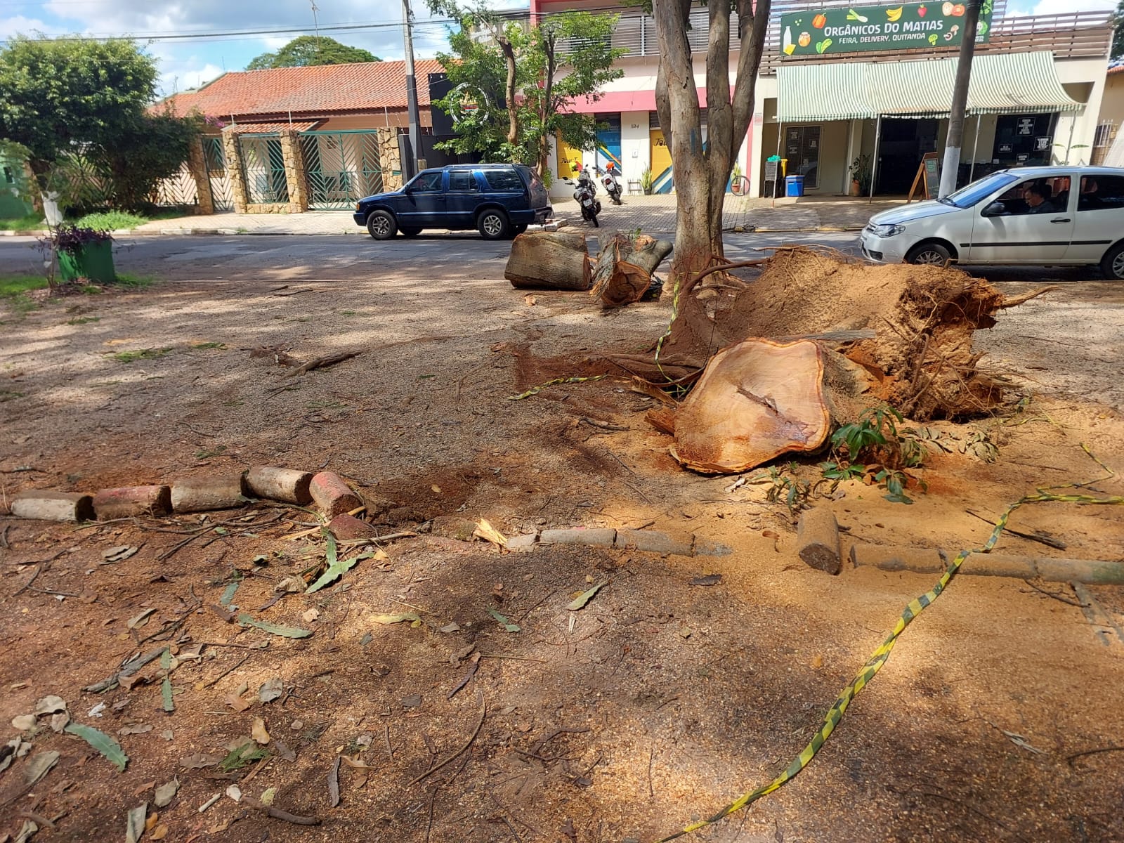 Comunidade da Praça do Coco demonstra preocupação com situação de árvores