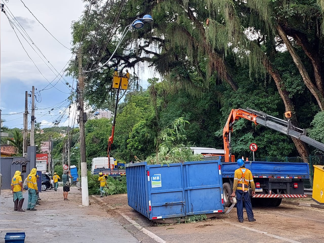Bosque dos Jequitibás deve reabrir somente no 2º semestre deste ano 