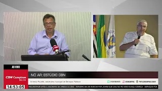 Corte de árvores no Bosque dos Jequitibás causa polêmica
