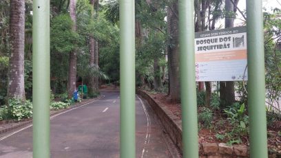 Podas de árvores continuam e Bosque dos Jequitibás segue fechado