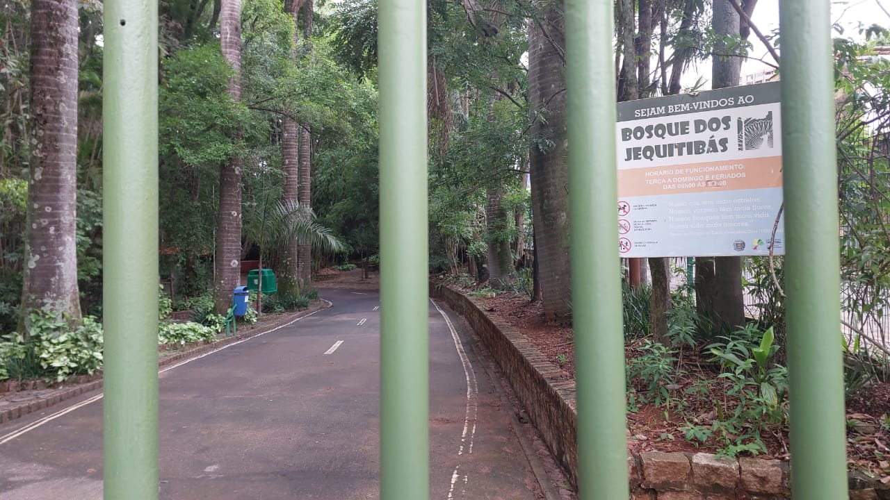 Após manejo de árvores, Bosque dos Jequitibás reabre neste sábado 