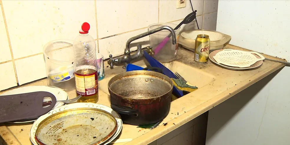 Guarda resgata três irmãos em situação de abandono em Sumaré