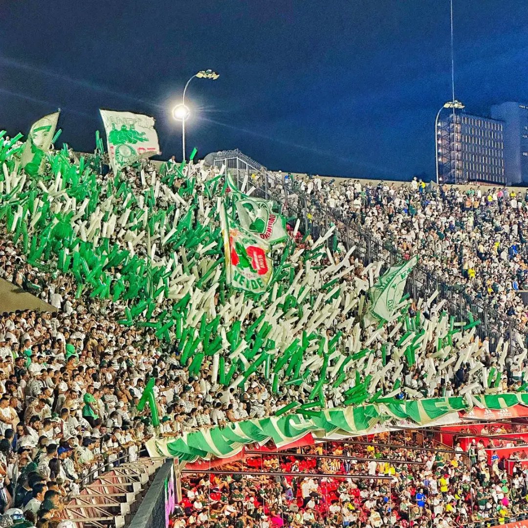 Palmeiras e São Paulo se unem para o fim as torcidas únicas