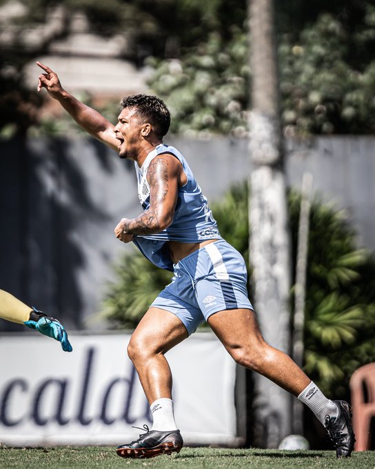 Desfalques atrapalham preparação do Santos para o Brasileirão
