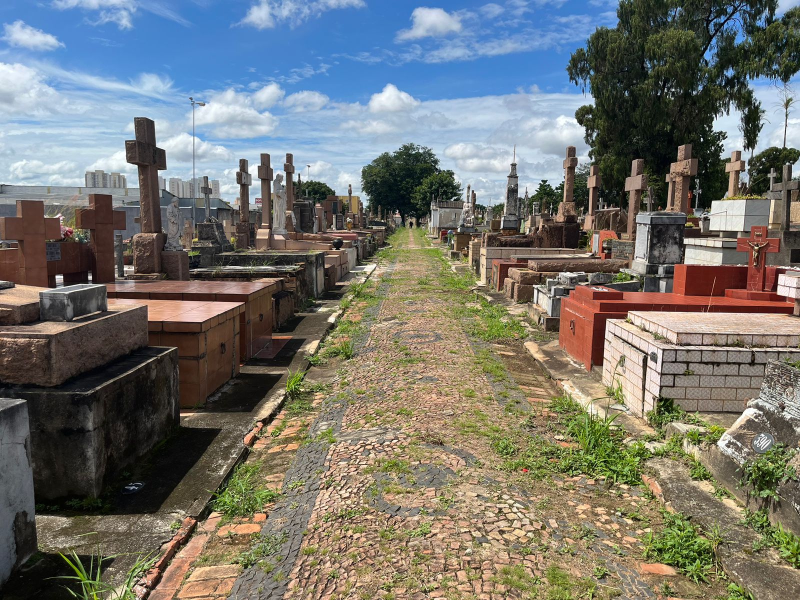 Moradores reclamam da situação de abandono do Cemitério da Saudade