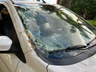 Eucalipto cai e atinge carro durante remoção de árvores em Valinhos