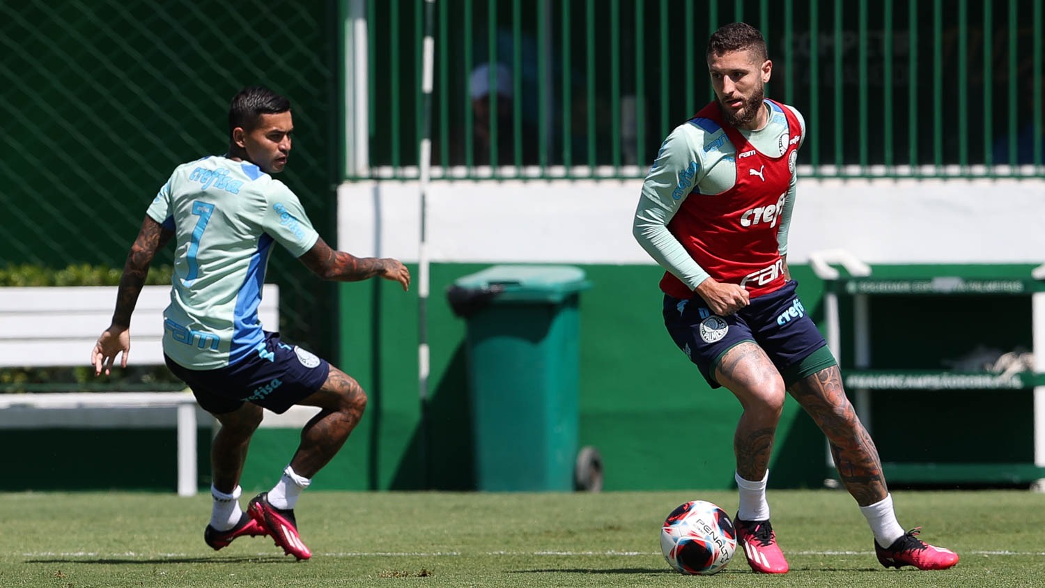 Técnico Abel Ferreira tem uma dúvida para confirmar o Palmeiras