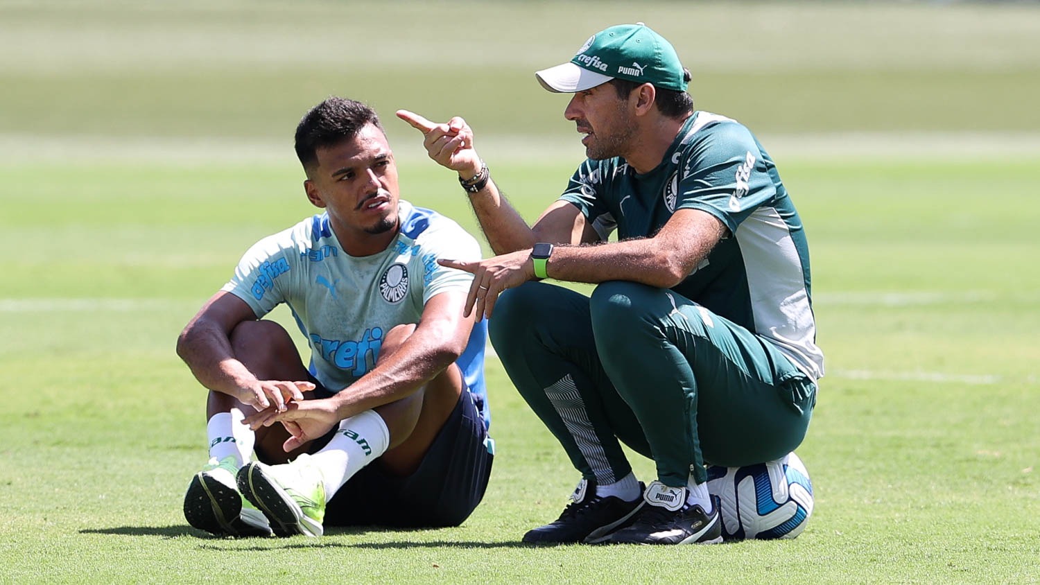 Palmeiras prioriza Paulistão e vai poupar na Libertadores