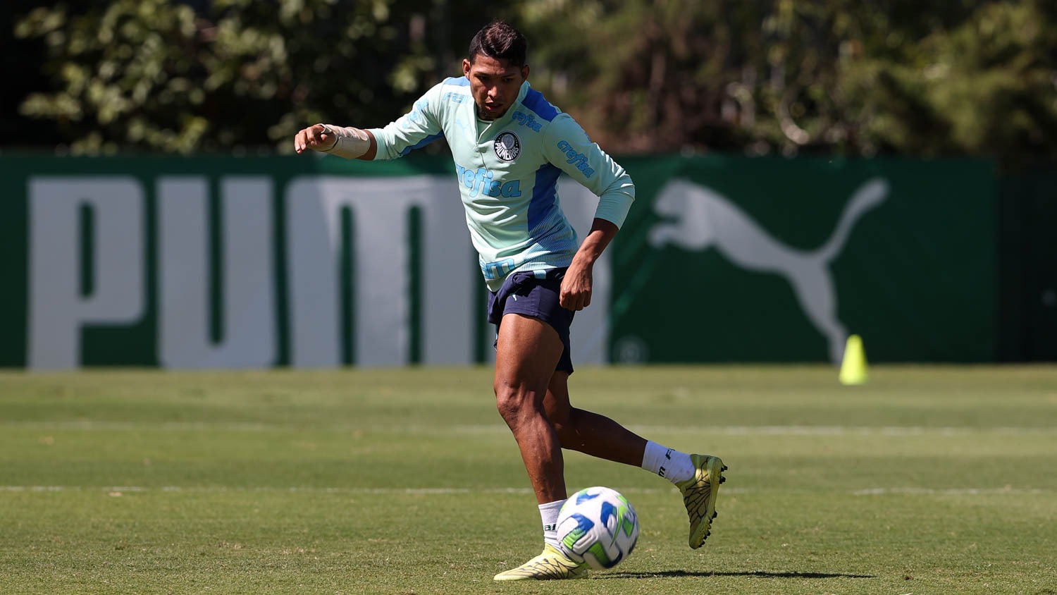 Recuperado, Palmeiras conta com atacante Rony para as próximas partidas