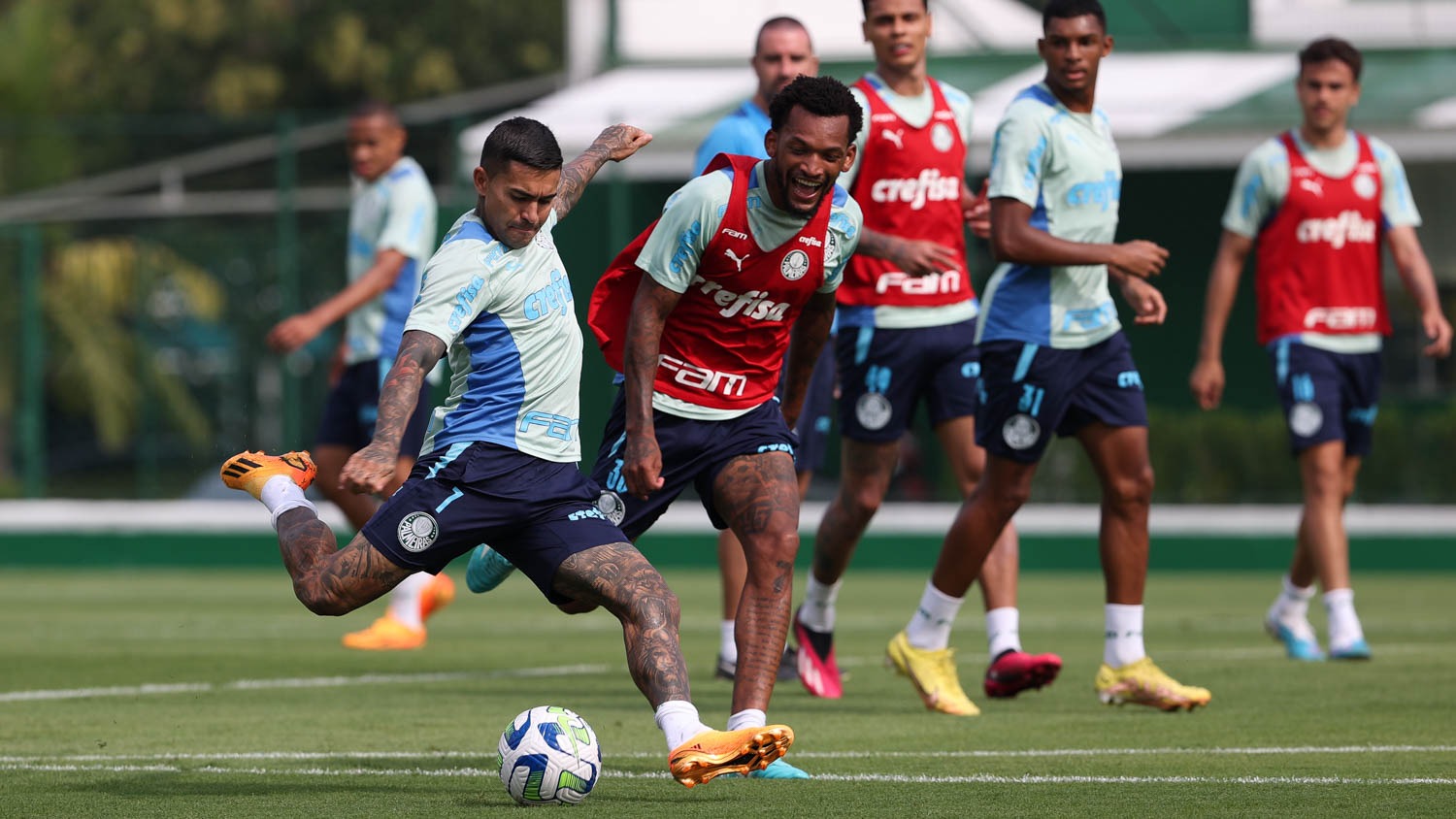 Palmeiras deve usar time reserva contra o Fortaleza pela Copa do Brasil