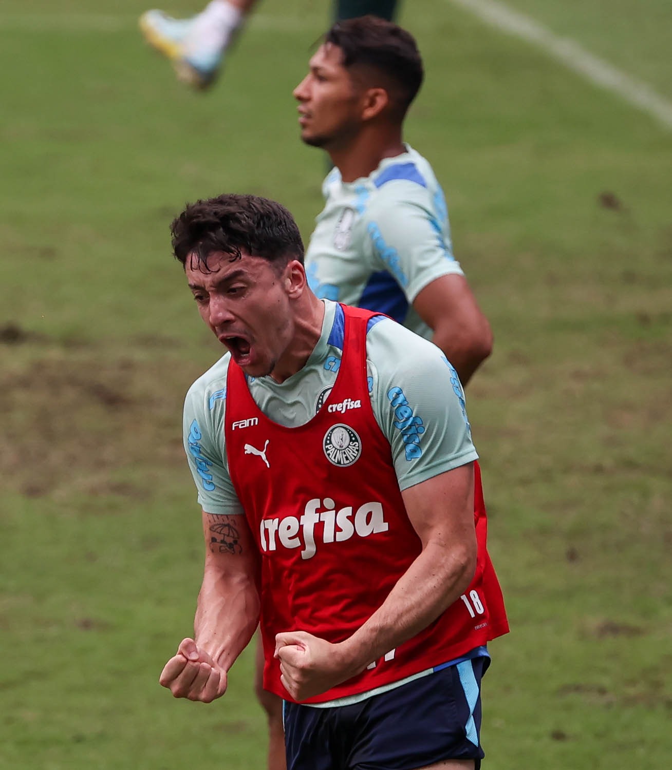 Praticamente com força máxima, Palmeiras está pronto para encarar o Barcelona-EQU