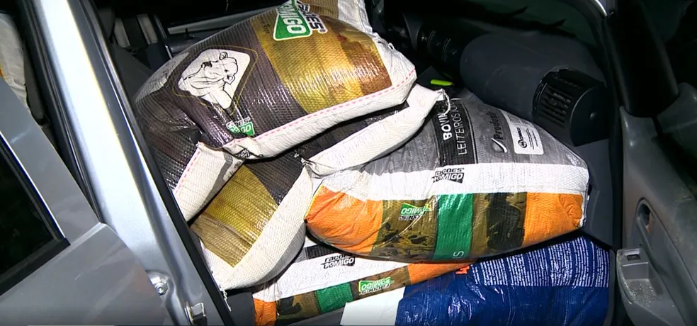 Sacos de ração no valor de R$ 3 mil são furtados em Joaquim Egídio