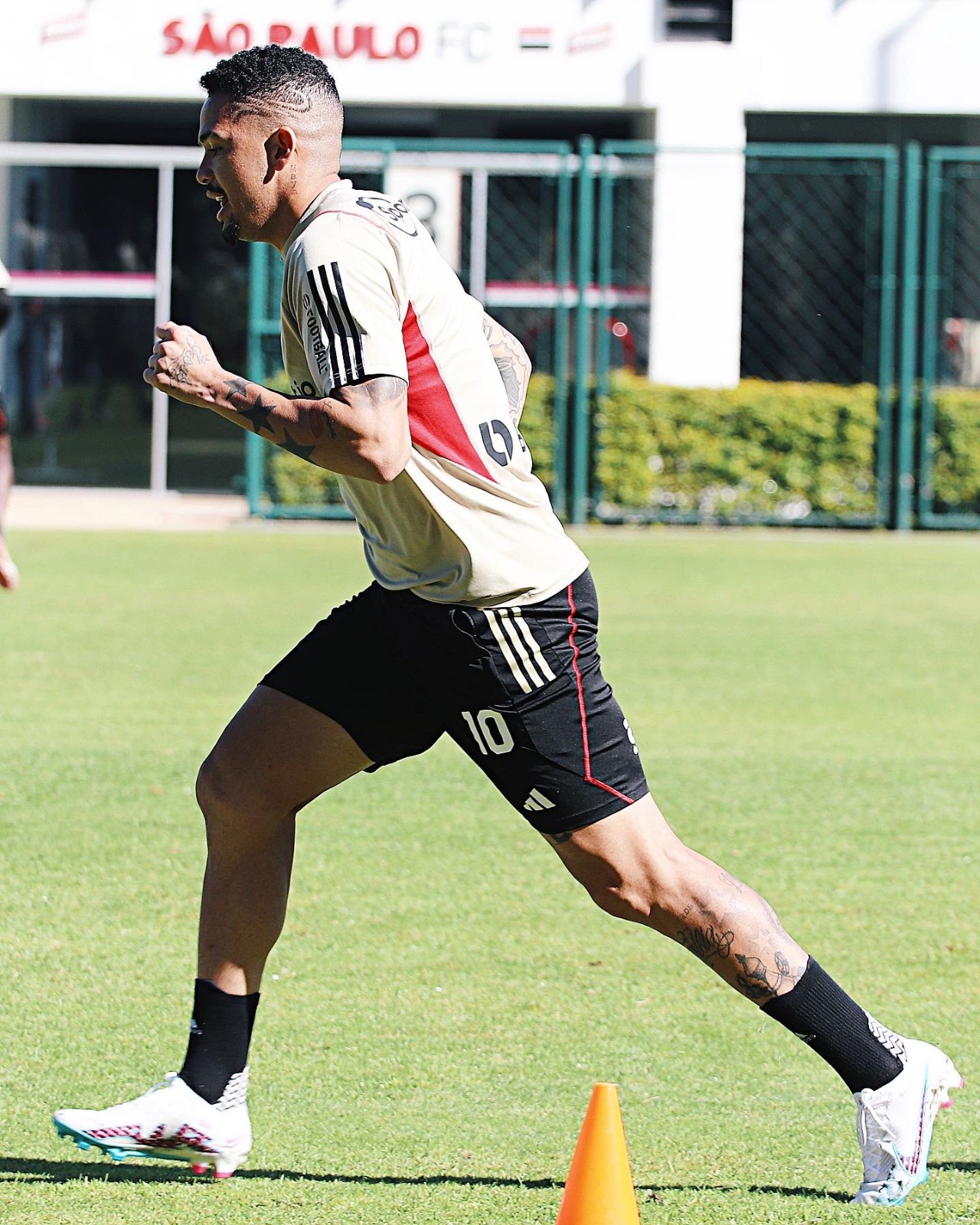 São Paulo tenta manter o bom momento contra o Sport pela Copa do Brasil