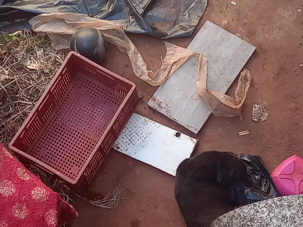 Animais mortos e um cão debilitado são encontrados em Sumaré