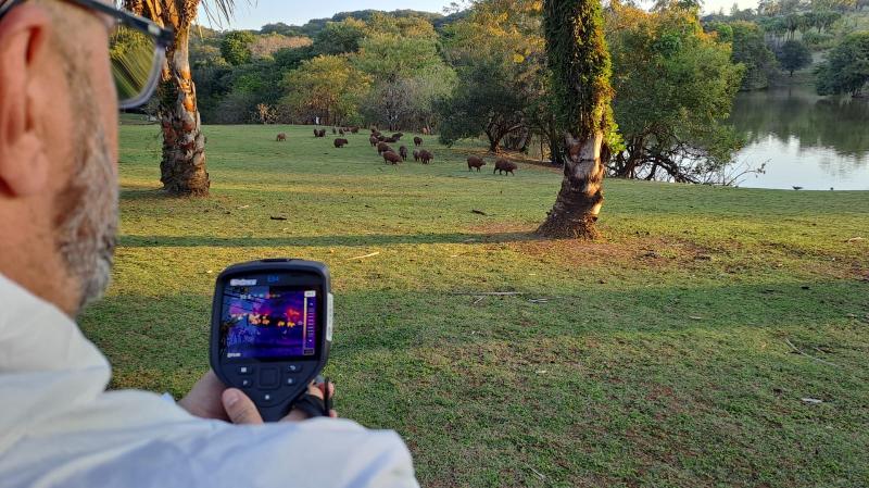 Stock Car diz que pessoas com suspeita de maculosa já tiveram alta