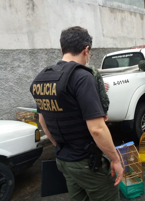 PF e Polícia Ambiental fazem operação contra comércio ilegal de animais