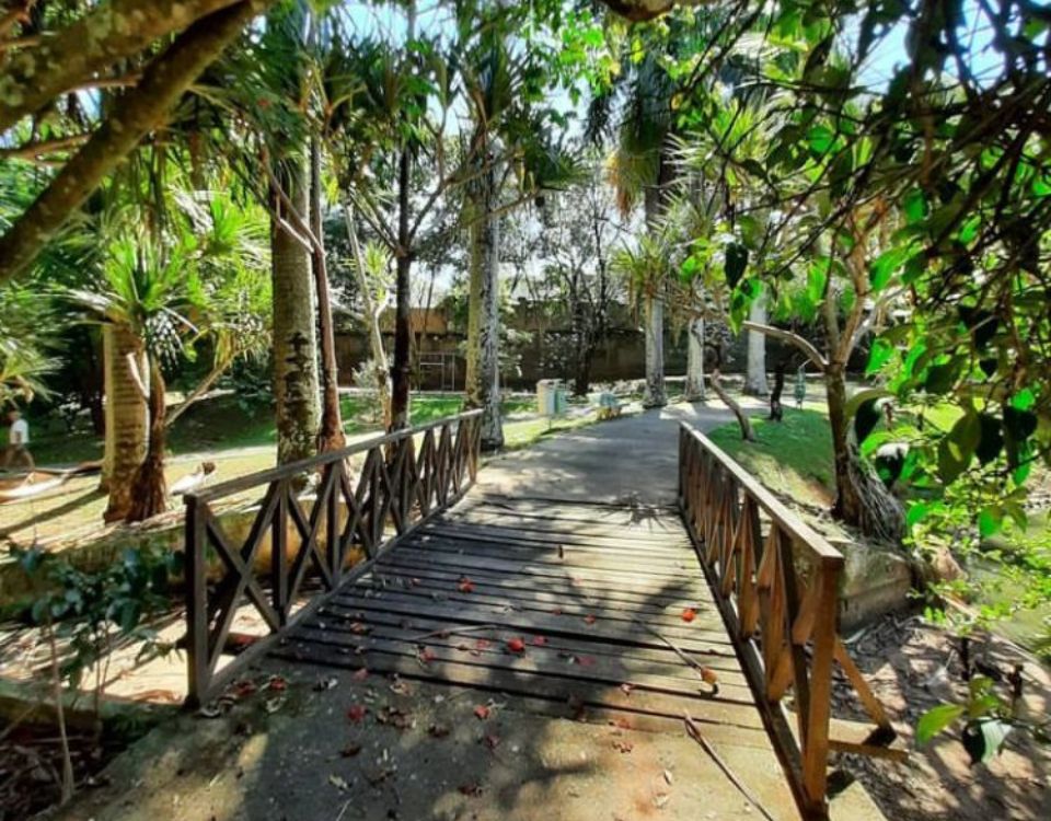 Campinas reabre todos os parques e bosques da cidade
