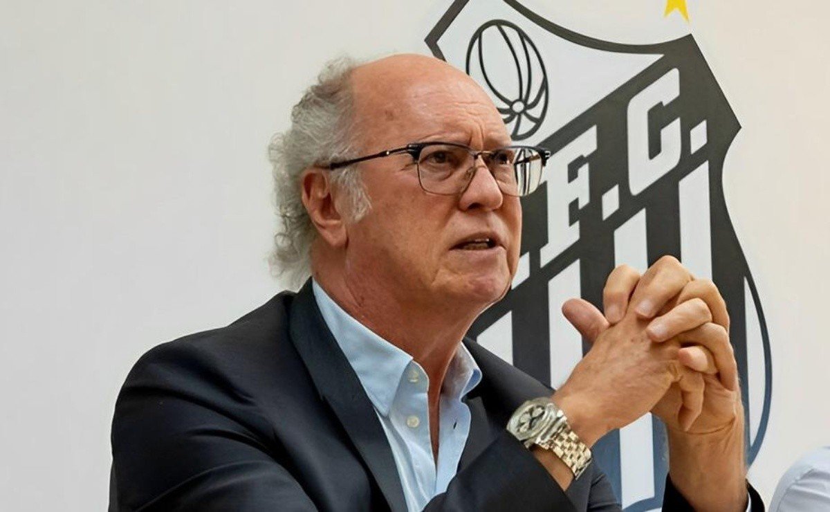 Coordenador de futebol, Falcão ainda procura reforços para o Santos