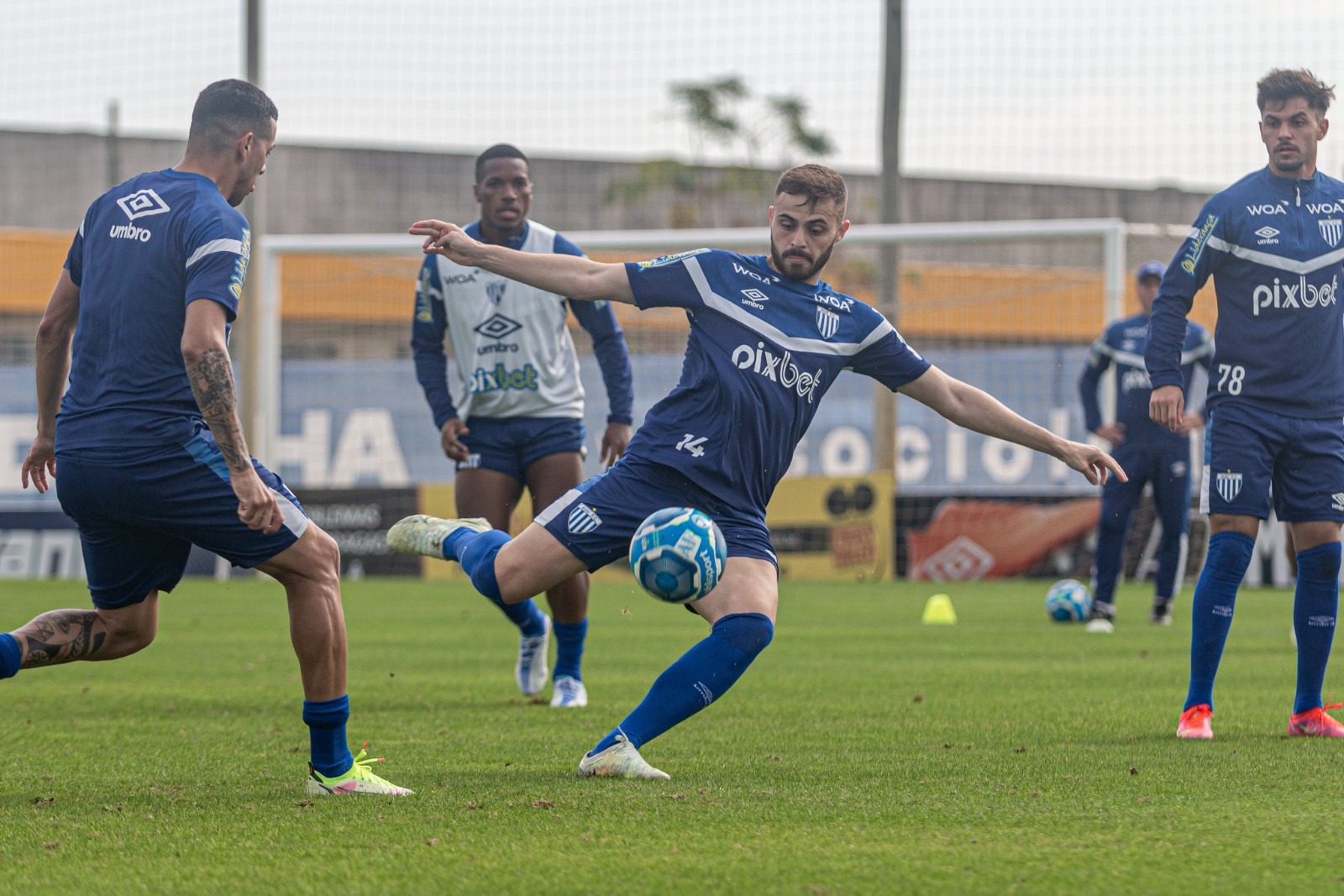 Cria do Guarani, Gabriel Poveda é apresentado no Avaí