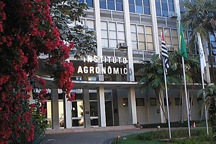 Campinas 249 anos: IAC acompanha a evolução da cidade há quase metade do tempo