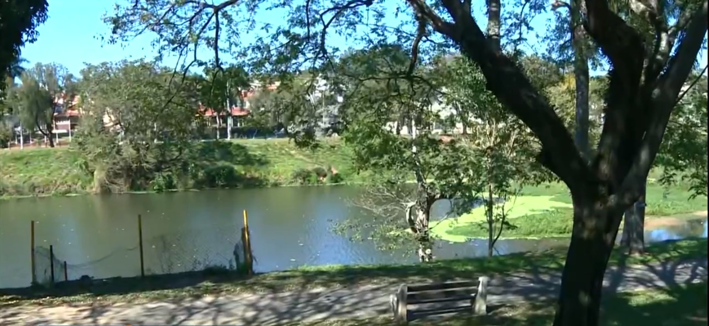 Prefeitura de Mogi Mirim vai sacrificar capivaras contaminadas por maculosa