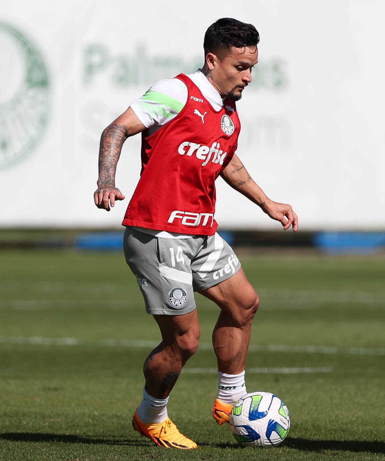 Pressionado, Palmeiras precisa vencer o Flamengo no Allianz Parque