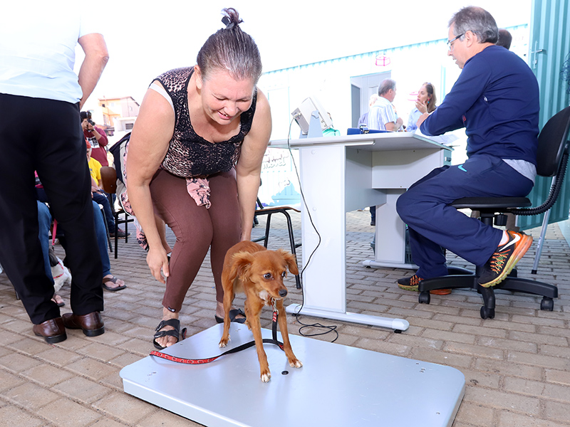 Consultório Veterinário Móvel passa a atender na região do DIC V