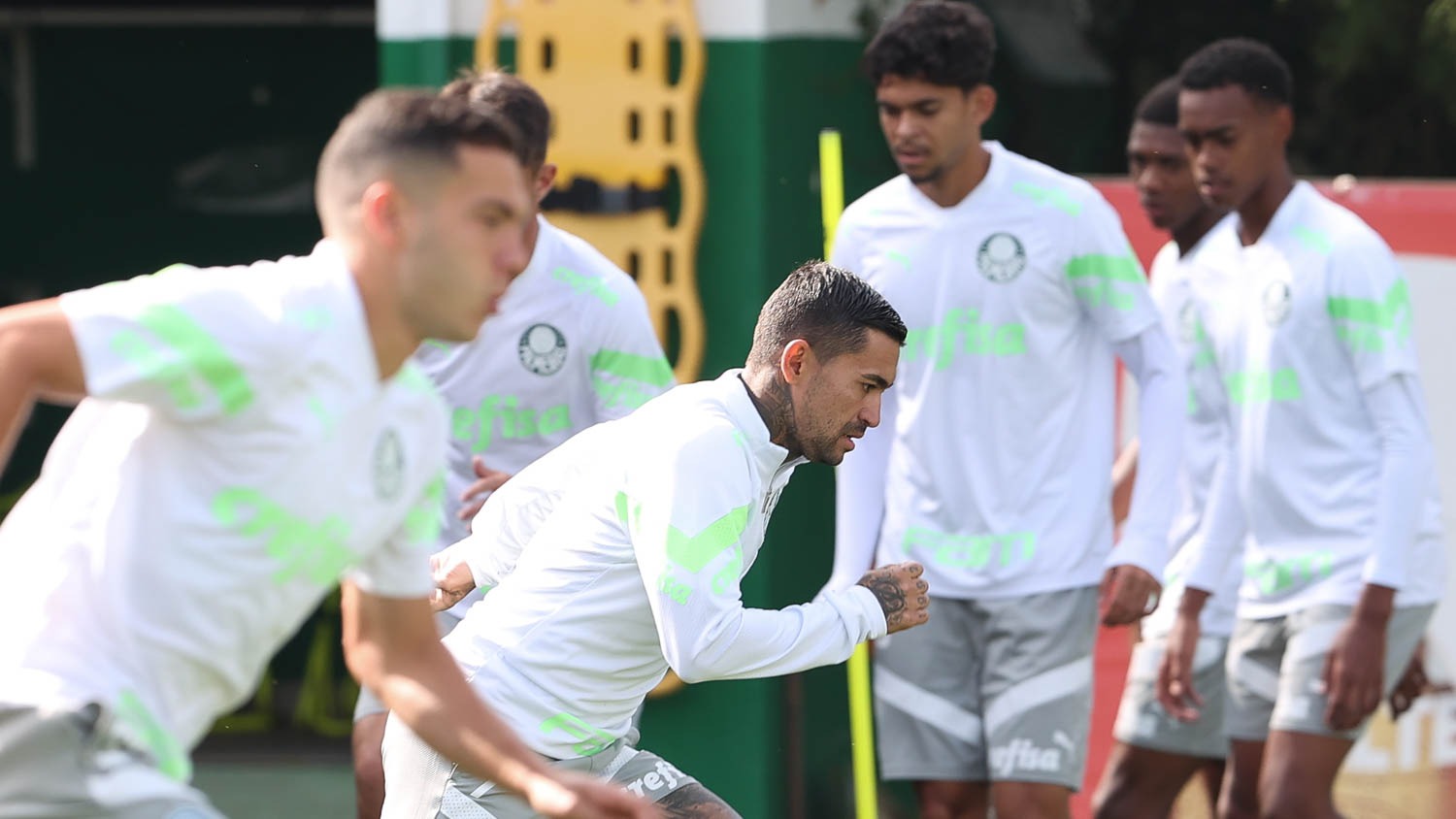 Palmeiras deve ter Dudu e Gabriel Menino na Colômbia pela Copa Libertadores