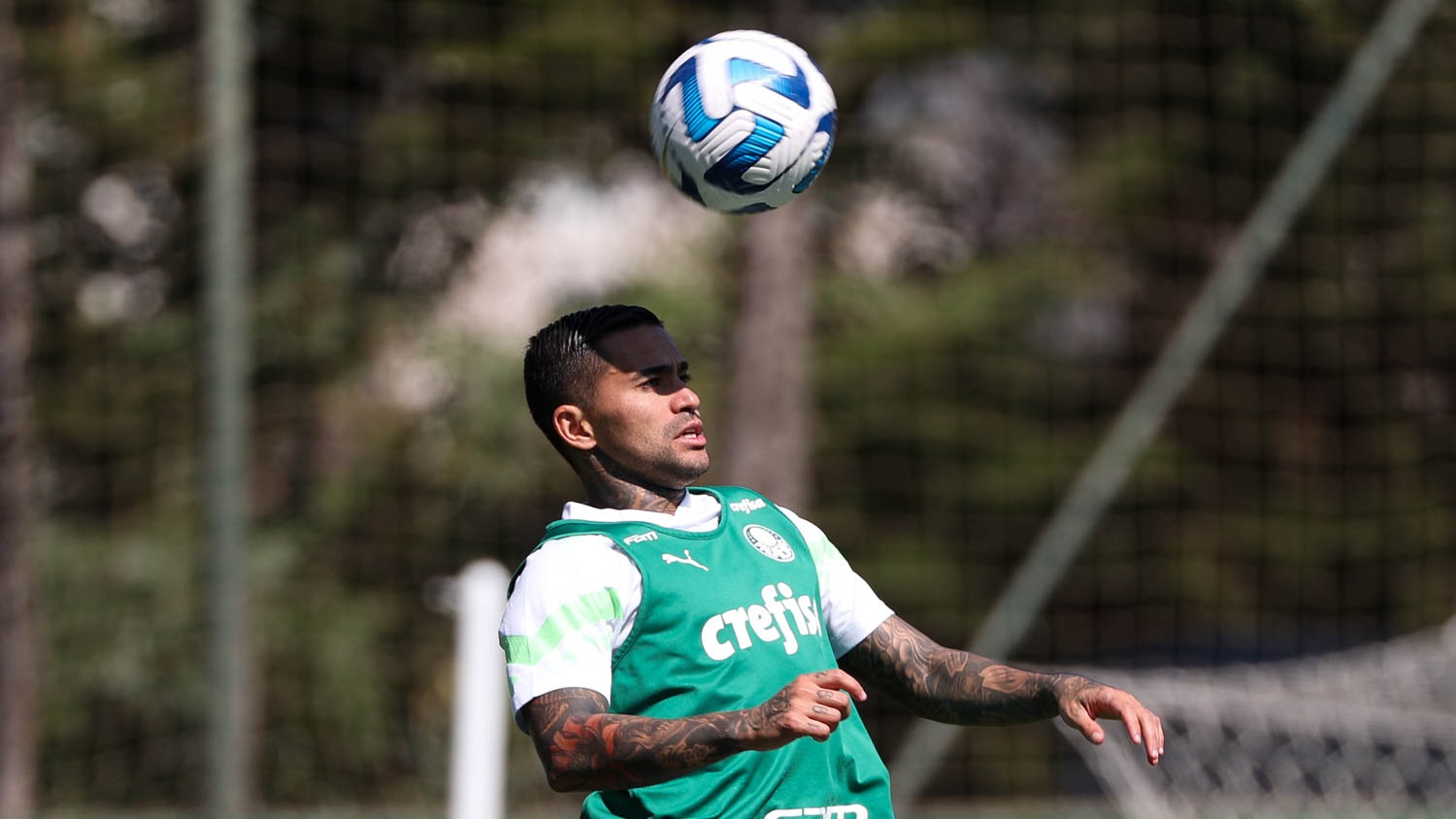 Palmeiras tem base titular para enfrentar o Cruzeiro nesta noite no Allianz Parque
