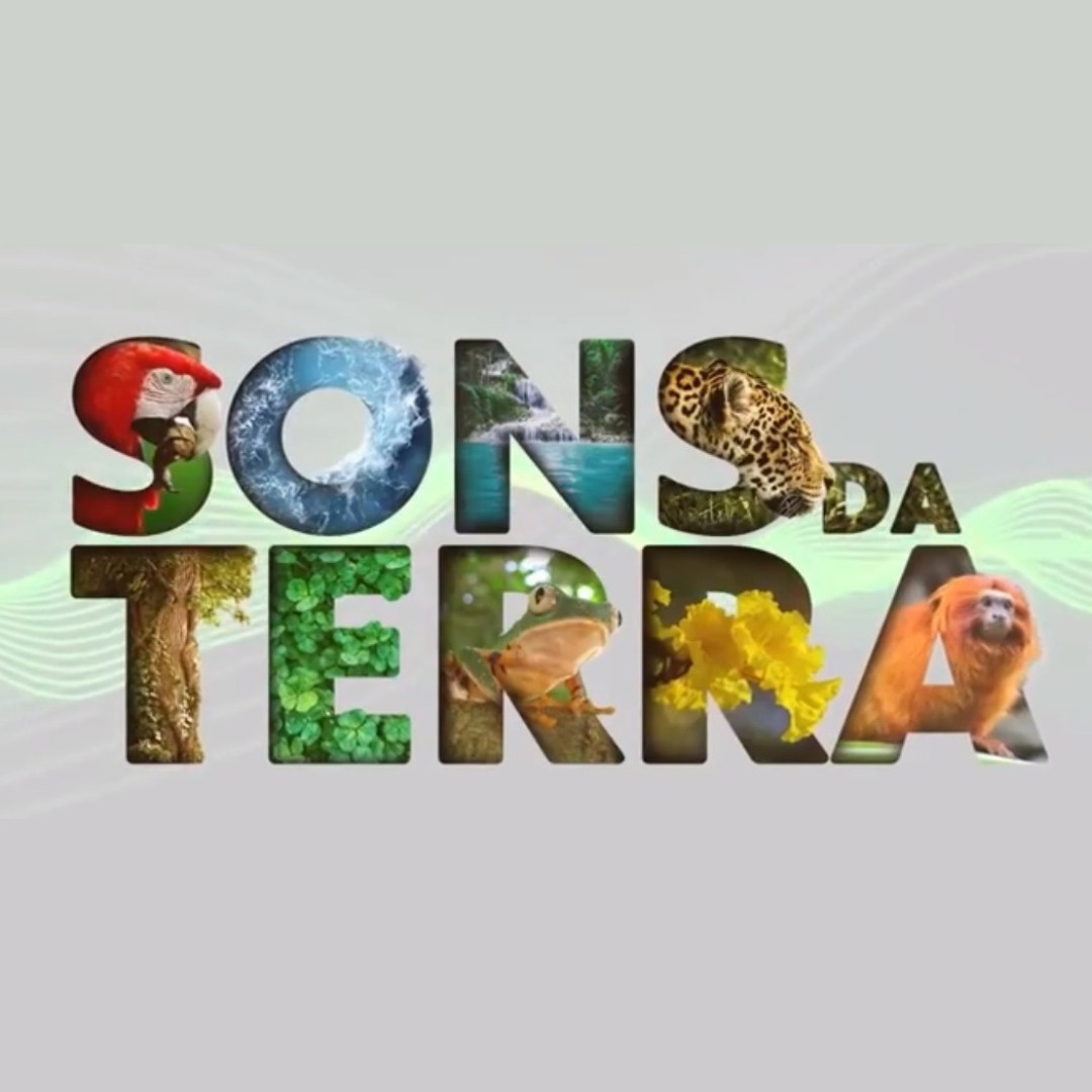 Ep. 253 – Trinca-Ferro: um dos cantos mais apreciados do Brasil 