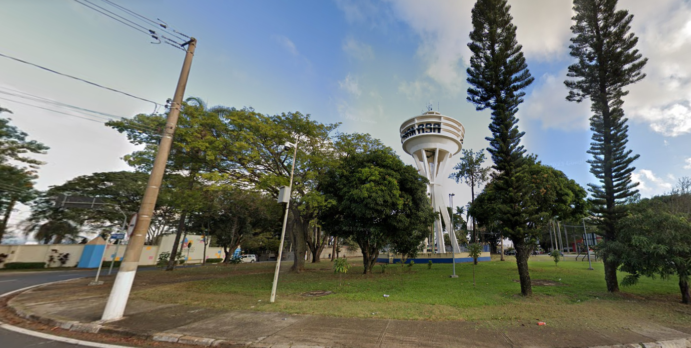 Campinas fará nova extração de eucaliptos após recomendação do MP
