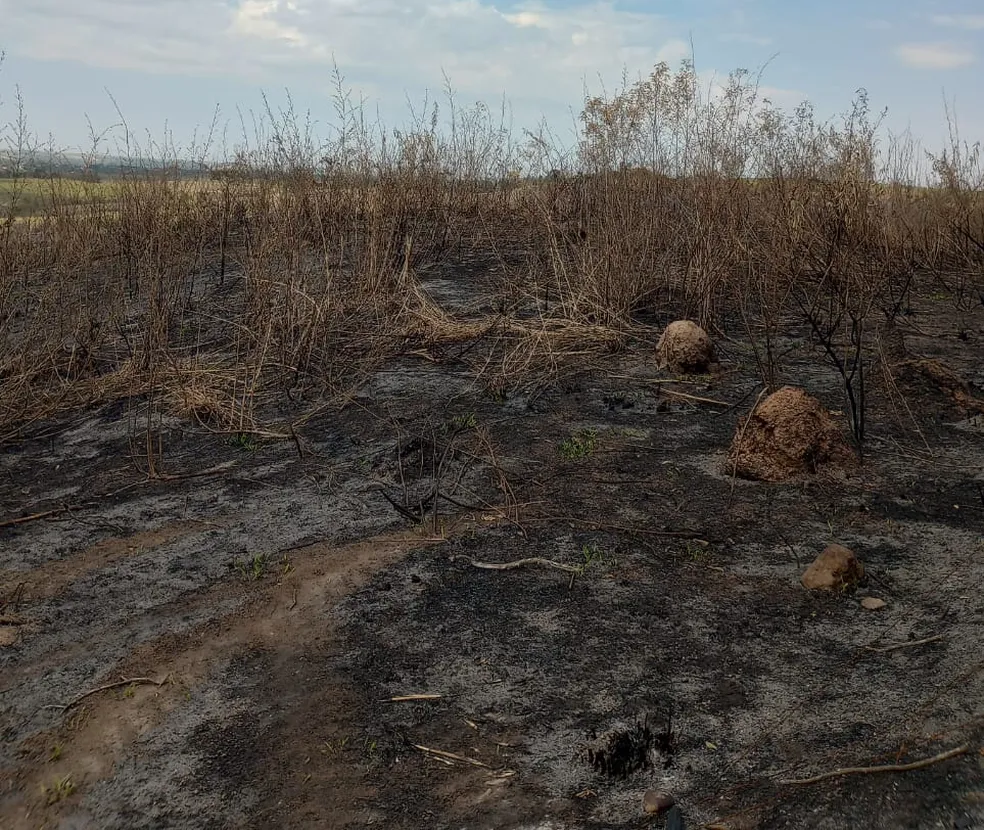 Dono de fazenda é multado em R$ 1 mi por irregularidades ambientais