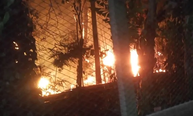 Incêndio atinge Lagoa do Taquaral após ato de vandalismo
