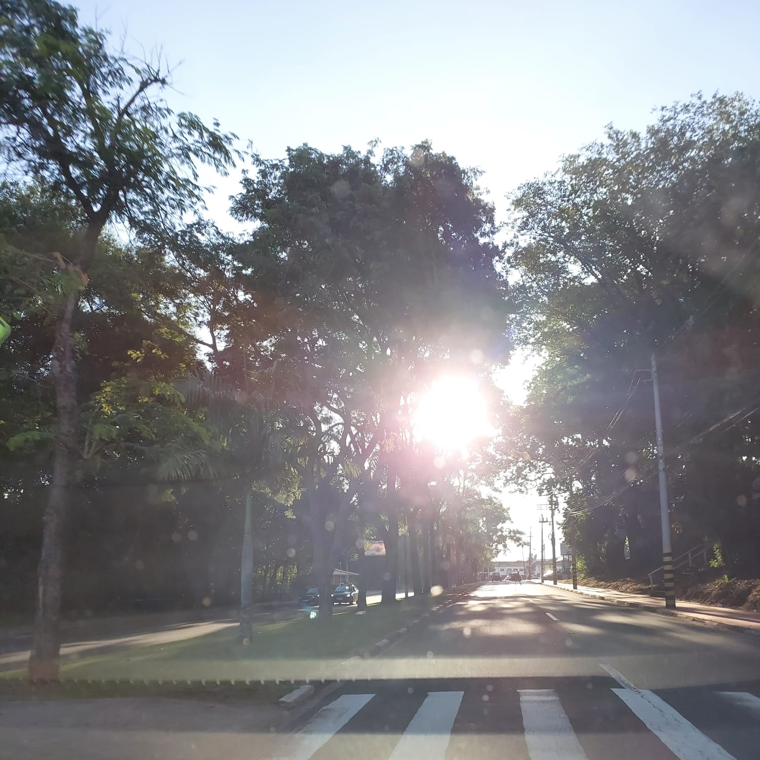 Semana começa com sol, mas temperaturas baixas na região de Campinas; confira