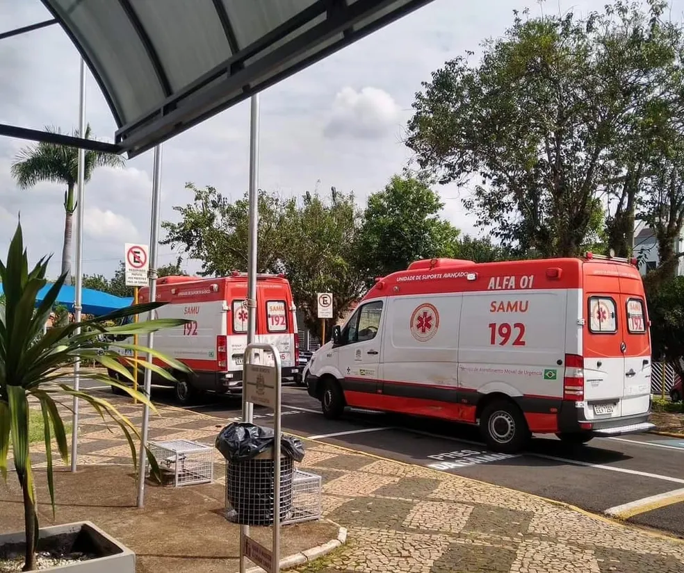 Ataque de abelhas deixa 16 pessoas feridas; idoso levou mais de 200 picadas