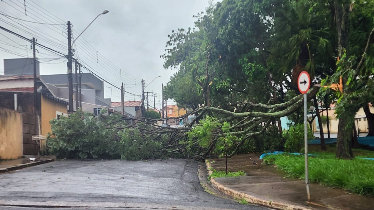 Chuva forte faz Limeira criar gabinete emergencial para lidar com situações