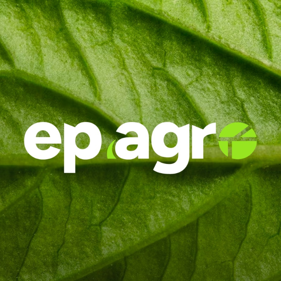 Os estragos da mudança climática no campo