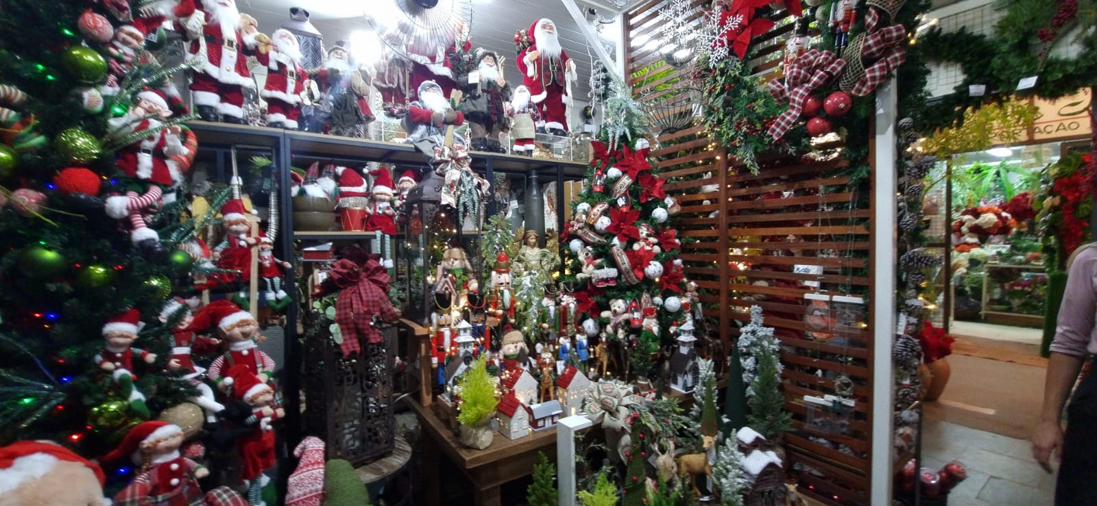 Mercado de Flores da Ceasa Campinas deve receber 50 mil visitantes até o Natal
