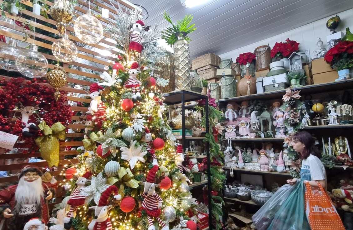 Mercado de Flores da Ceasa Campinas deve receber 50 mil visitantes até o Natal